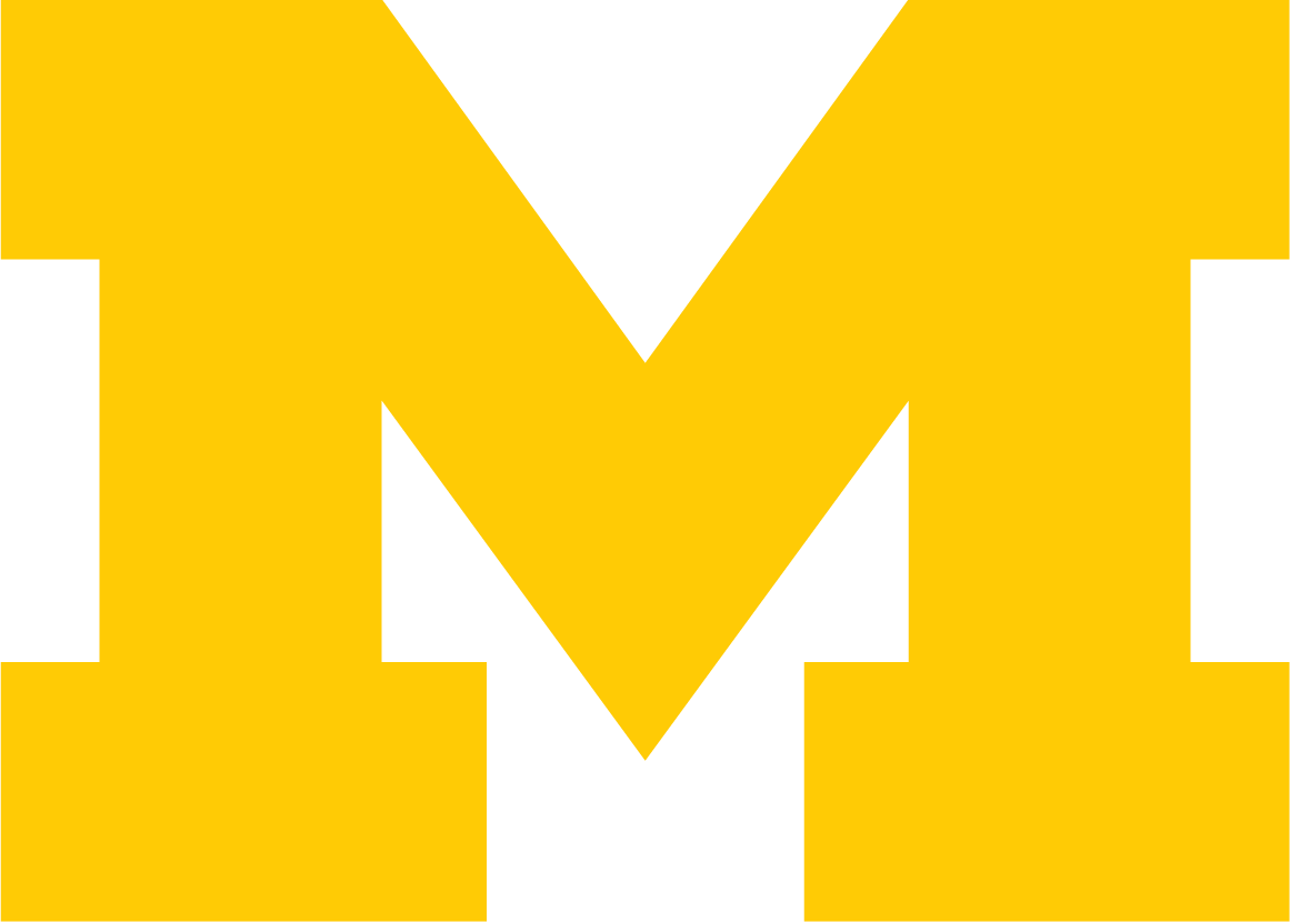 Meta Logo